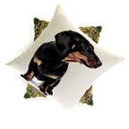 Decorative pillow with a dachshund design on a white background
