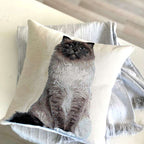 Decorative pillow with a cat design on a couch