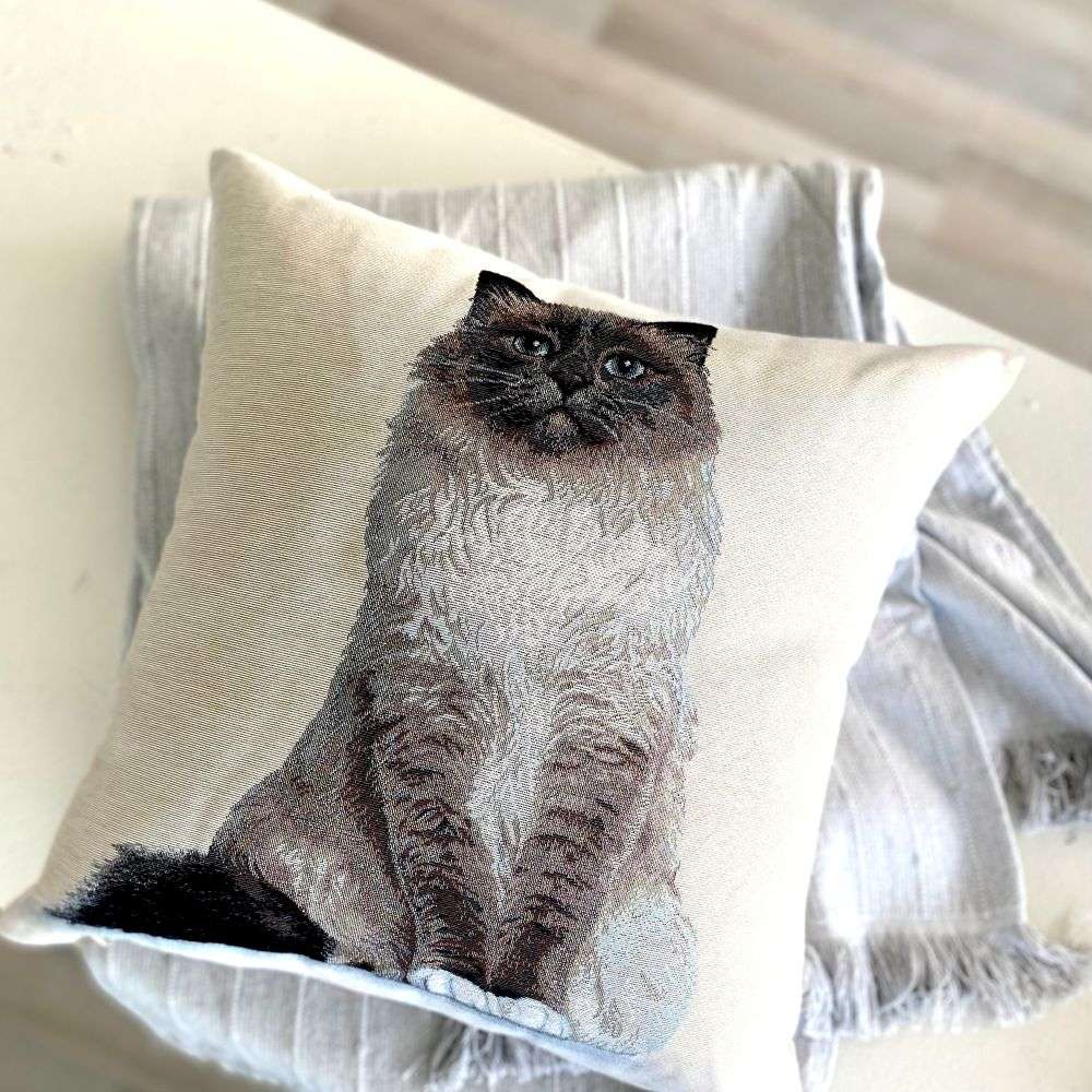 Decorative pillow with a cat design on a couch