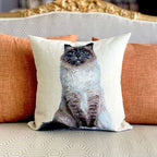 Decorative pillow with a cat design on an orange couch.