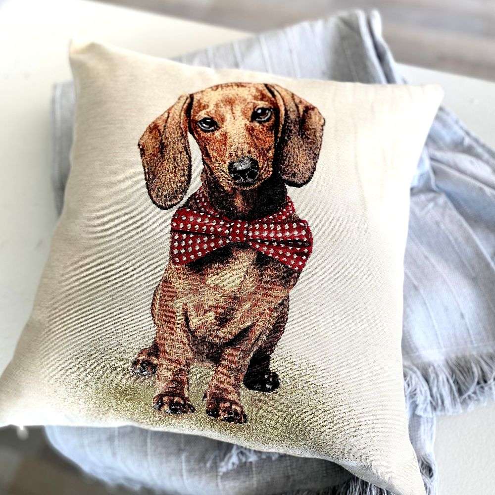 Pillow with a dachshund wearing a red bow tie on a white background