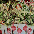 Close-up of a detailed illustration of orchids with green leaves and pink flowers.